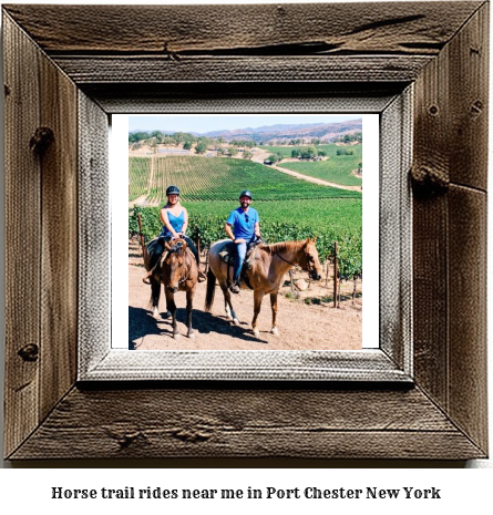 horse trail rides near me in Port Chester, New York